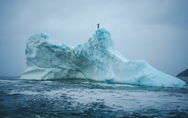 Cliff diver Molly Carson makes history, becomes first woman to dive off iceberg — WPBF Sports Palm Beach, Arlington Sports news